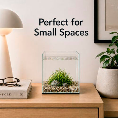 Aquatop High Clarity Low Iron Glass Cube Aquarium, 2.11-Gal – 5mm Thick Glass – Slim Design – Fresh & Saltwater – Desktop Tank with Silicone Sealing - size: 2.1 Gal