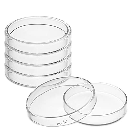 5-Pack 60 mm Borosilicate Glass Petri Dishes with Lids | 2.3 mm Thick, Optically Transparent, Autoclavable, Reusable, Heat-Resistant up to 180°C - size: 5pcs: 60mm