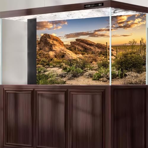 Sunset Rock Mountain Aquarium Background Stunning Towering Saguaro Cacti Vibrant Desert Reptile Tank Background Desert Barren Thorns Fish Tank Backgrounds Sunrise Gobi Terrarium Backgrounds 24x16in - color: Brown, size: 24(W)x16(H)in