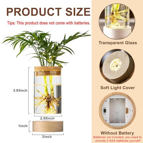 Glass Plant Propagation Stations, Propagation Vases for Plants with Ambient Light Base, Hydroponic Vase for Home & Office Windowsill Tabletop Decoration Desktop Vases for Living Room, Bedroom (2)