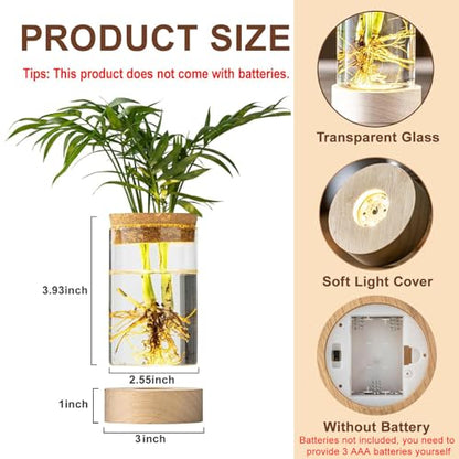 Glass Plant Propagation Stations, Propagation Vases for Plants with Ambient Light Base, Hydroponic Vase for Home & Office Windowsill Tabletop Decoration Desktop Vases for Living Room, Bedroom (2)