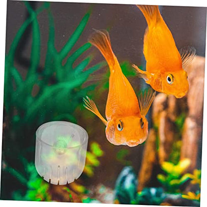 UPKOCH 4pcs Acrylic Fish Feeding Cups Suction Cups Aquarium Shrimp Feeder for Easy Feeding for Fish Tank Decoration and Worm
