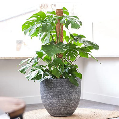 GROWNEER 42 Inch Moss Pole for Plants, 4 Pcs 15 Inch Stackable Coir Totem Support, Moss Sticks with 15pcs Labels and 78in Garden Ties, Monstera and Snake Plants Stake for Climbing Indoor