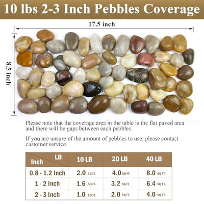 FANTIAN 40 lbs Large River Rocks for Landscaping, 2-3 Inch Garden Rocks | Natural Decorative Stones Pebbles for Potted Plants, Aquarium, Fountain, Fish Tank, Drainage and Outdoor Yard Paving - size: 2-3 Inch, style: 40 Pounds