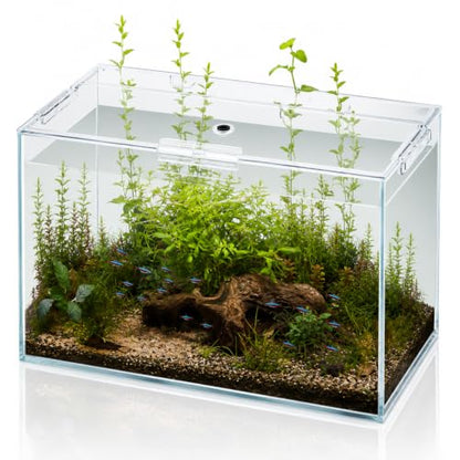 10 Gallon Glass Fish Tank Open-Back Lid, Aquarium Fish Bowl Cube for Betta Goldfish Snails Shrimp Aquatic Planting, Ultra Clear Rimless Low Iron - color: Transparency, size: 10 Gallon