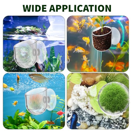 Yolev Aquarium Plant Holder 2Pack Clear Plant Holder Pot Holder Planter Cup | for Fish Tank, Hanging Fish Tank Plants, for Aquarium, with Suction Cup
