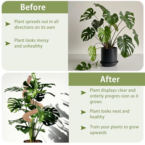 3 Pack Moss Pole, 28" 48" 63" Monstera Plant Support for Climbing Indoor Plants, Bendable Coco Coir Plant Support Stakes for Potted Plants, Pothos, Philodendron - size: 28 Inch, 48 Inch, 63 Inch - 3 Packs