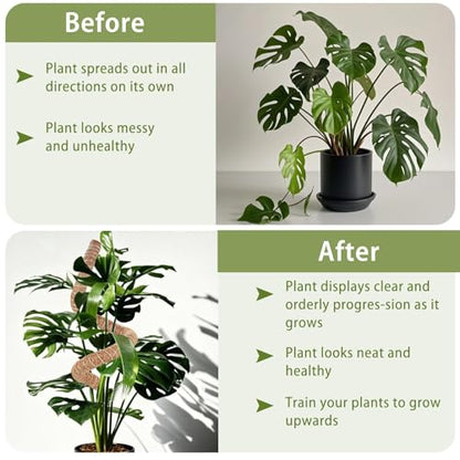 2 Pack Moss Pole, 63 Inch Monstera Plant Support, Moss Poles for Climbing Indoor Plants, Bendable Coco Coir Plant Support Stakes for Potted Plants, Pothos, Philodendron - size: 63"- 2 pack