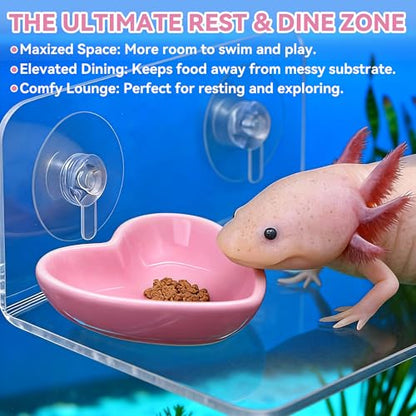 Axolotl Hammock Ledge with Heart-Shaped Ceramic Feeding Bowl - Upgraded Dual Suction Cup Resting Platform - Premium Acrylic Amphibian Tank Accessories for Salamanders, Newts, Geckos & Frogs