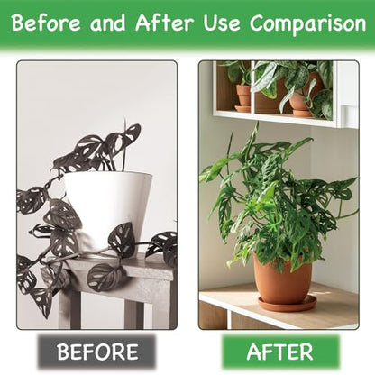 4 pcs Frog Plant Stand, Multipurpose Green Frog Plant Supports Steady Cartoon Plant Branches Tie Down, Frog Plant Holder for Potted Plants, Plant propagation buddy Cute Frog Flower Pot Hugger Plant Climbing Fixture Clips Perfect for Indoor Outdoor Garden