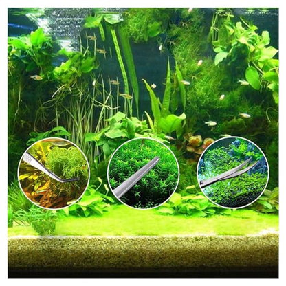 Aquascaping Tools 5 in 1 Kit Aquarium Scissors Plant Tools Curved & Straight Scissor Tweezers Spatula Stainless Steel Anti Rust Aquascape Tools for Fish Tank