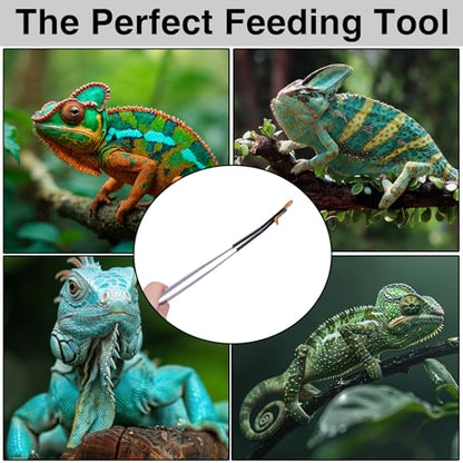 Extra Long Feeding Tongs with Rubber Cover Tips,2PCS 11.8" Stainless Steel Long Tweezers for Fish Tank,Terrarium,Reptile, Bearded Dragon(Straight and Curved Tweezers） (Silver, 11.8inch)