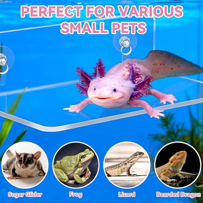 Axolotl Hammock Ledge with Heart-Shaped Ceramic Feeding Bowl - Upgraded Dual Suction Cup Resting Platform - Premium Acrylic Amphibian Tank Accessories for Salamanders, Newts, Geckos & Frogs