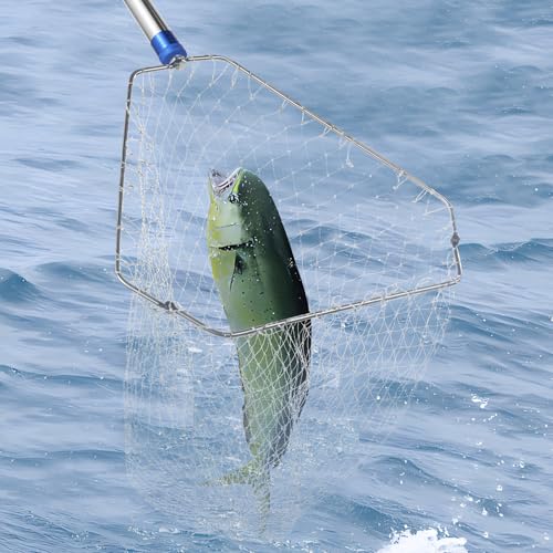 Chicken Catching Net ,Extendable from 33" to 75" Chicken Catcher Leg Hook | Animal Net, Made of Stainless Steel Tube, Suitable for Catching Duck, Goose, Skunk, Bat and, Bird Net & Fish Net