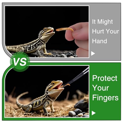 Extra Long Feeding Tongs with Rubber Cover Tips,2PCS 11.8" Stainless Steel Long Tweezers for Fish Tank,Terrarium,Reptile, Bearded Dragon(Straight and Curved Tweezers） (Silver, 11.8inch)