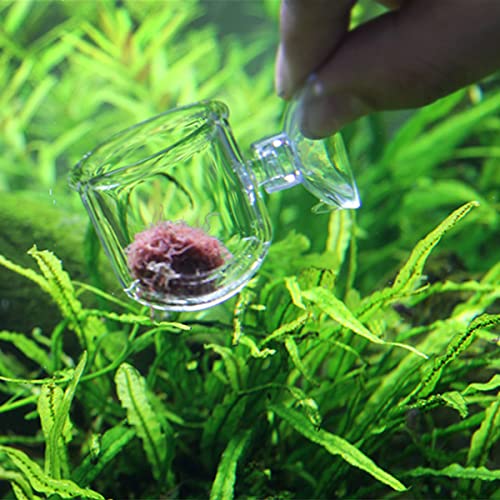 Glass Aquarium Red Worm Fish Feeder Cone Feeder Red Worm Fish Tank Plant Shrimp Feeder Cup Fish Feeding Cup with Suction for Aquarium Fish Tank