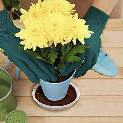6 Pack Clear Plant Saucer 5 6 8 10 12 14 inch, Durable Plastic Plant Trays for Indoor, Round Flower Plant Pot Saucer, Sturdy Plant Water Catcher Tray(14 Inch) - size: 14 inch