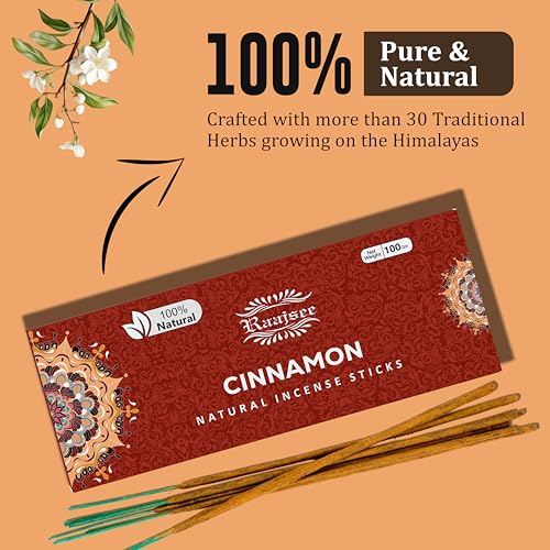Raajsee Cinnamon Incense Sticks 100gm, Charcoal Free - !00% Natural - Organic Non-Toxic Insence Sticks, Inscents Made with Upcycled Flowers, Meditation Gifts – Spiritual Cleansing - color: Cinnamon
