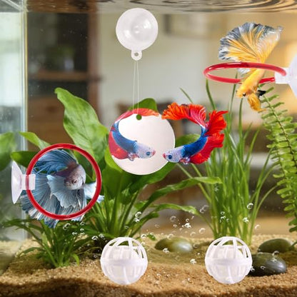Betta Fish Toys, 2 PCS Fish Exercise Ring and Nitrifying Balls Set, Betta Mirror Toy Set, Feeding Ring with Suction Cup, Fishing Tank Accessories for Gifts (Red) - color: Red