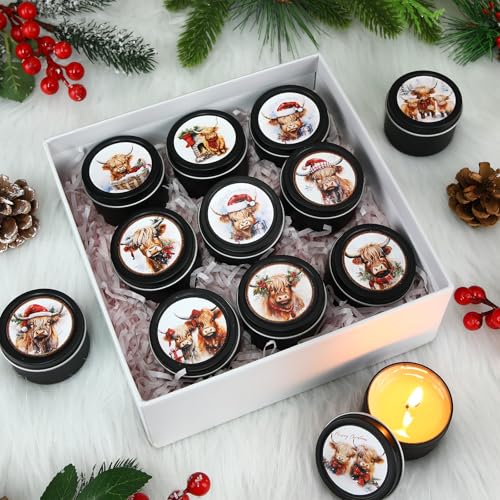 Nuanchu 24 Pack Christmas Scented Candles Gift Set Highland Cattle Candle for Her Him 2oz Natural Soy Wax Jar Long Lasting Aromatherapy Bulk Favors Set for Christmas Party Home Decor - style: Highland Cattle