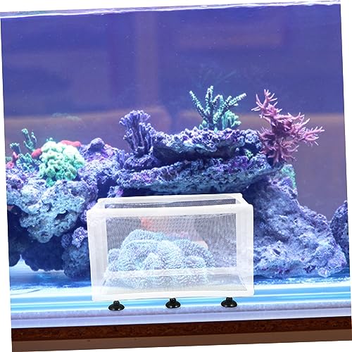balacoo 2pcs Isolation Box for Fish Breeding Mesh Incubation Box Cups for Tanks for Juvenile and Sick Fish Separation