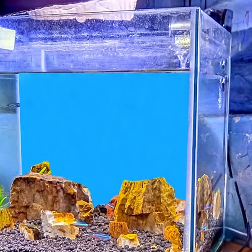 POPETPOP Aquarium Background : Double Sided Fish Tank Background Waterproof Film Aquarium Backdrop for Fish Tank Decoration, 19.69x32.28 Inch (Blue)