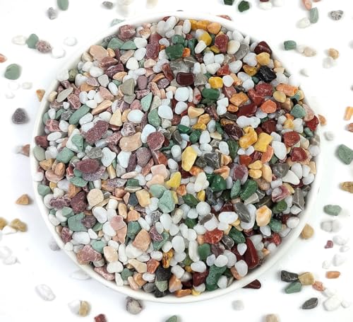 5LB Succulent and Cactus Gravel Pebbles, 1/5 Inch Stones Colorful | Polished Natural Decorative River Rocks for Vases Gardening Indoor and Outdoor Decorative Rocks - color: Colorful, size: 5 Pounds