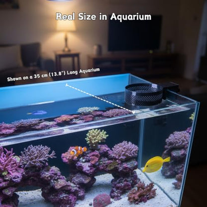 Aquarium Water Change Diffuser – Spill-Proof Water Changer for Rimless Fish Tanks, Protects Substrate, Plants & Decorations, Safe for Fish and Shrimp (Black, Medium)