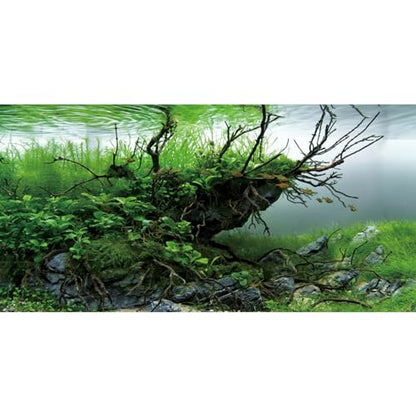 AWERT 30x12 inches Branches Fish Tank Background Seaweed Aquarium Background River Bed & Lake Aquarium Background Vinyl Background | AWERT Aquatic Plant Seaweed River Bed & Lake Aquarium Background Vinyl - size: 30x12in/75x30cm