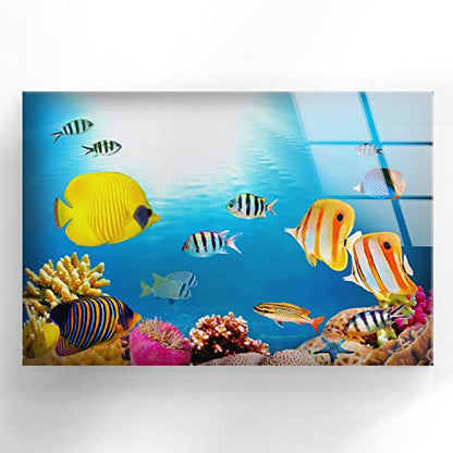 Myphotostation Coral Reef Wall Art Tempered Glass Wall Art 43Wx27H'' Fish at Aquarium Wall Art Modern Decor Glass Printing Large Wall Art Tempered Glass Panel Under Sea Wall Art Sea Life Wall Art - size: 27"L x 43"W