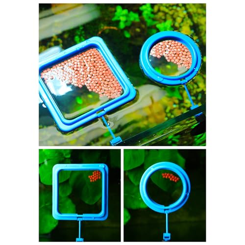 2lots Durability Silicones Feeding Frames Practical Round Floating Food for Various Aquariums Shape Durability Feeders - color: Black, size: D