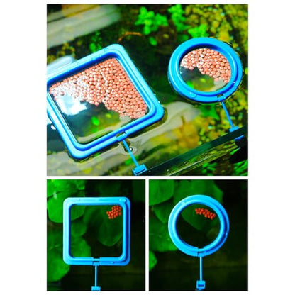 2lots Durability Silicones Feeding Frames Practical Round Floating Food for Various Aquariums Shape Durability Feeders - color: Black, size: D