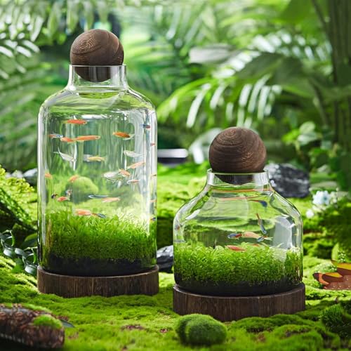 Glass Aquarium with Wooden Base, Microecosphere Fish Tank, Transparent Bottle-Shaped Batta Fish Bowel, Micro-Landscape Ecological Aquarium, Modern Glass Goldfish Tank,XL - color: Xl