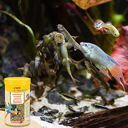 Sera O-Nip Nature 100 Tabs 2.1 oz | Complete Feed for All Ornamental Fish | Adhesive Tablets Stick to the Aquarium Glass | High Protein | No Dyes & Preservatives | with Bloodworms, Krill & Tubifex - size: 2 Ounce (Pack of 1)