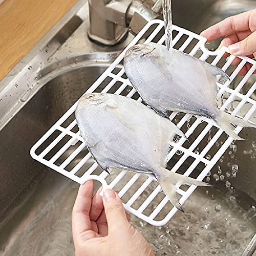 Bento Boxes Food Storage Containers with Removable Drain Plate, for Family, Tray to Keep Fruits, Vegetables, Meat, Fish Etc. Out of The Drippings(Large) - size: Large