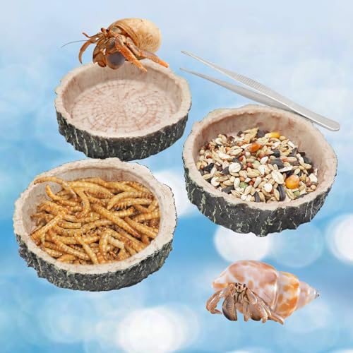3 Pack Reptile Water Dish Food Bowls, Hermit Crab Food Dish with Feeding Tongs, Bearded Dragon Water Bowl, Suitable for Hermit Crab Lizard Gecko Tortoise Turtle Frog Leopard Crested Gecko - color: Tree Stump