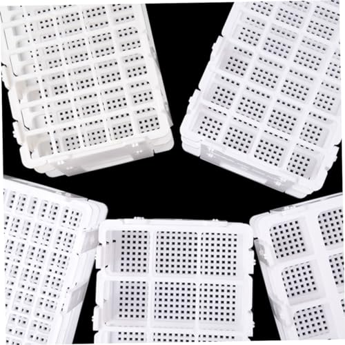 Detachable Plastic Test Tube Rack Lightweight Holder for Tubes for School and Laboratory Use Tidy Your Workspace with Slot Design