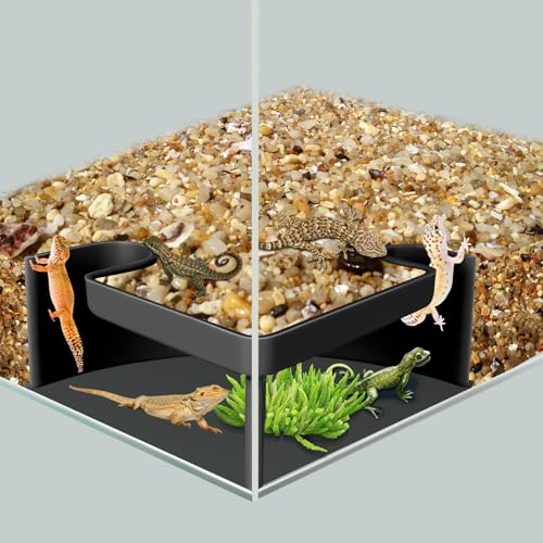 CPLIKE Aquarium Cave Hideout with Viewing Window – Corner Fish Tank Tunnel for Pleco, Cory Catfish, Kuhli Loach, Shrimp & Betta – 2 Hole Plastic Breeding Shelter for Bottom Dwellers (6"x6"x2.5") - color: Two Hole Corner Cave Black Large