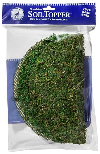 SuperMoss (26310) Moss Soil Toppers (Place Mats), Fresh Green, 10" (3 units) - color: Fresh Green, size: 10" (3 units)