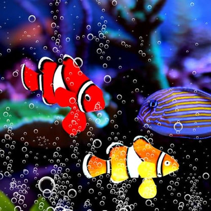 4 Pcs Silicone Luminous Clownfish with Suction Cup Glow in Dark Waterproof Design Realistics Swimming Decoration for Aquarium Tank