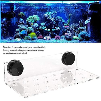 TOPINCN Acrylic Magnetic Frag Holder - Support SPS Button Bracket Base for Fish Aquarium (23 Hole)