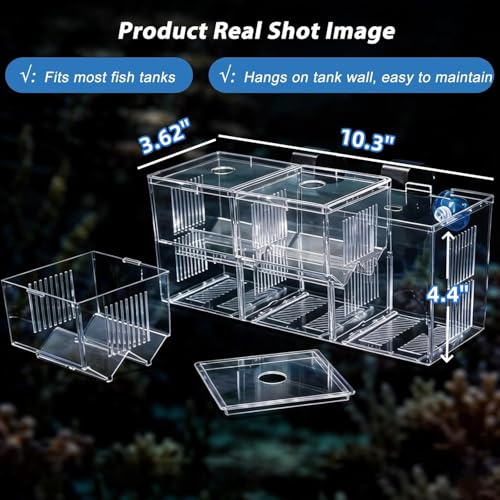 Fish Breeding Box,Breeding Box for Fish Tank,Fish Breeder Box for Aquarium | Triple-Chamber Transparent,With Suction Cups & Hook,Tank for Betta,Guppy,Shrimp,Separator & hatchery