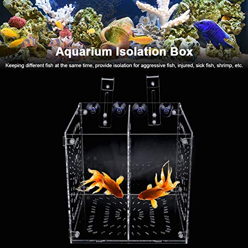 Acrylic Fish Breeding Box 20x20x20cm Mesh Rearing Trap for Baby Shrimp Clownfish Guppy, Isolation Board Prevents Adult Attack, Adjustable Suction Cup Fixation for Aquarium Hatchery (20MC - size: 20MC *20CM*20CM