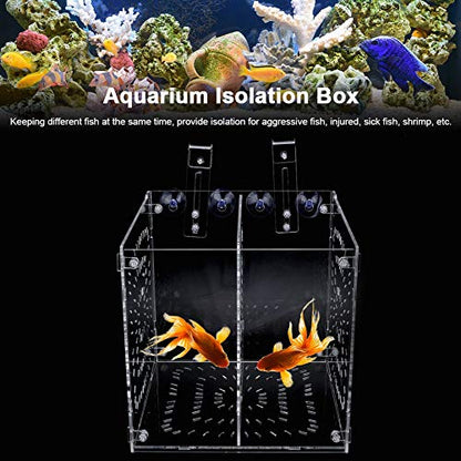 Acrylic Fish Breeding Box 20x20x20cm Mesh Rearing Trap for Baby Shrimp Clownfish Guppy, Isolation Board Prevents Adult Attack, Adjustable Suction Cup Fixation for Aquarium Hatchery (20MC - size: 20MC *20CM*20CM