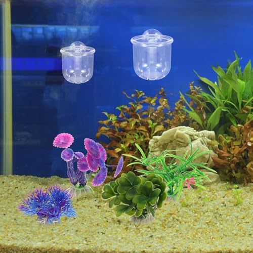 Cabilock 4pcs Acrylic Fish Tank Feeder Cups with Suction Small and Large Water Glass Containers for Aquarium Feeding Ring Betta Fish and Shrimp Food Holder Removable Worm Feeder