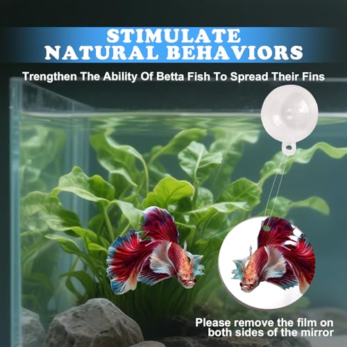 Betta Fish Toys, 2 PCS Fish Exercise Ring and Nitrifying Balls Set, Betta Mirror Toy Set, Feeding Ring with Suction Cup, Fishing Tank Accessories for Gifts (White) - color: White