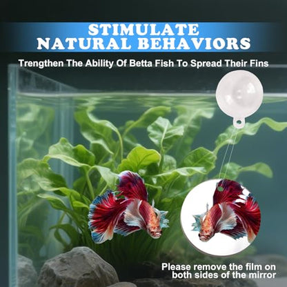 Betta Fish Toys, 2 PCS Fish Exercise Ring and Nitrifying Balls Set, Betta Mirror Toy Set, Feeding Ring with Suction Cup, Fishing Tank Accessories for Gifts (White) - color: White