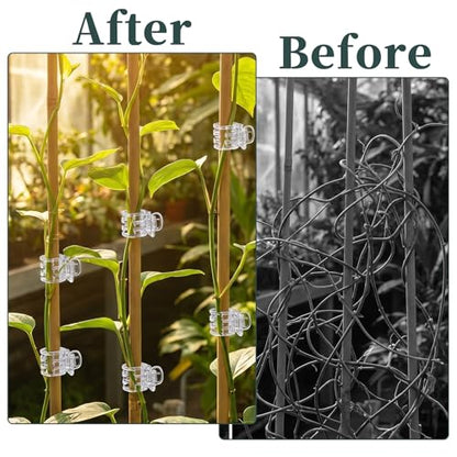 100Pcs Plant Clips Orchid Clips, Clear Plant Clip | Plants Orchid Support Clip Plants Pins for Orchids Support Flower Vine Climbing Vine Stem Supports