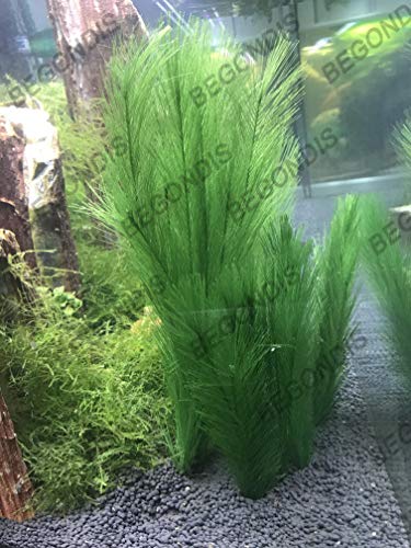 3Pcs Aquarium Decorations Fish Tank Artificial Green Water Plants Made of Silk Fabrics Plastic - color: 7" * 3 Pcs, Green