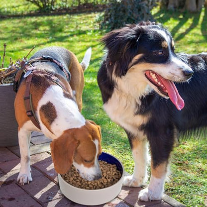 SPOT Standard Crock Dish - Heavy Duty, Non-Slip, Round Ceramic Food/Water Bowl for Pets, Ideal for Medium to Large Dogs or Multiple Animals, Dishwasher Safe - 9.5 in, 8 Cups, (64 Oz) - size: 9.5"